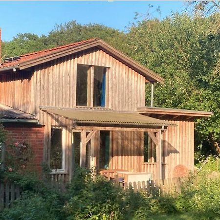 Natur Kunst Ferienhaus Neu Darchau Dış mekan fotoğraf