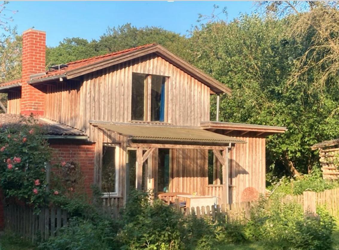Natur Kunst Ferienhaus Neu Darchau Dış mekan fotoğraf